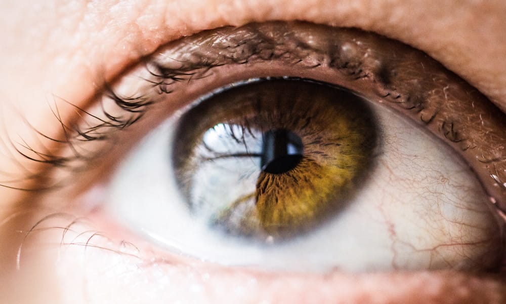 Close Up Of Eye Vanessa Bumbeers 117971 Unsplash