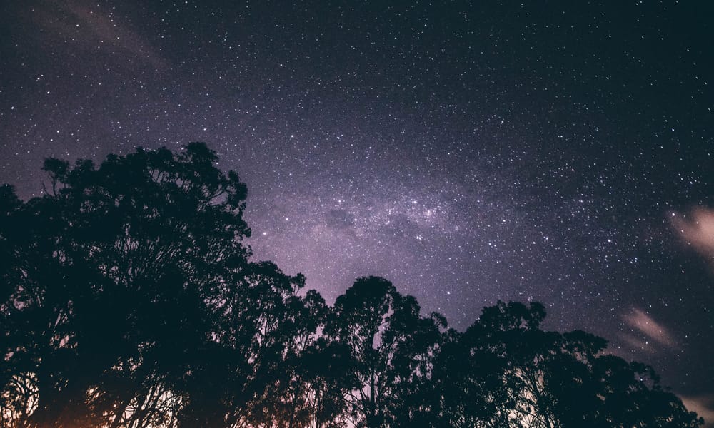 Night Sky Above Trees Elliott Brennan 94145 Unsplash