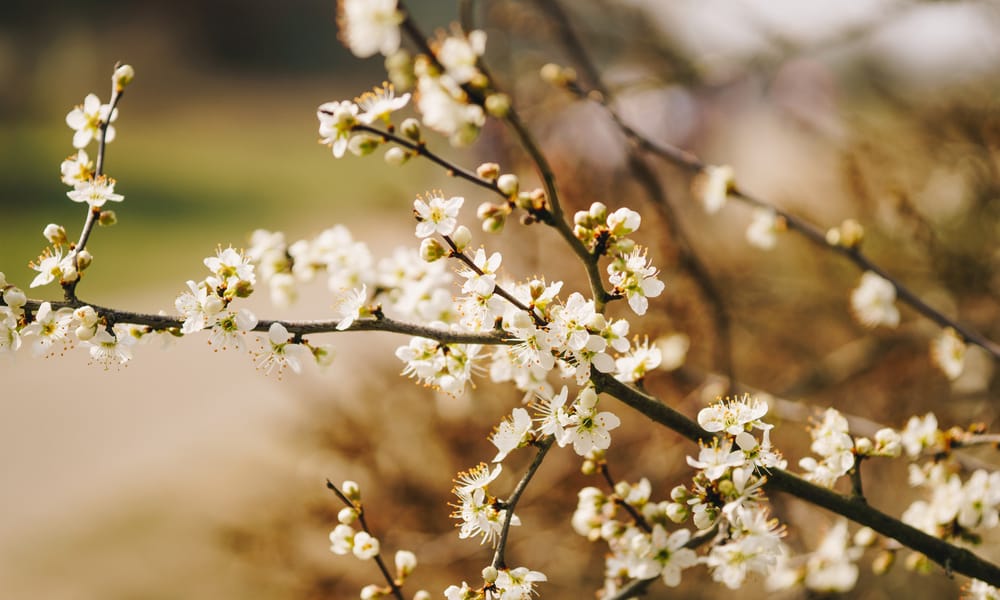 Deniz D 1477635 Unsplash