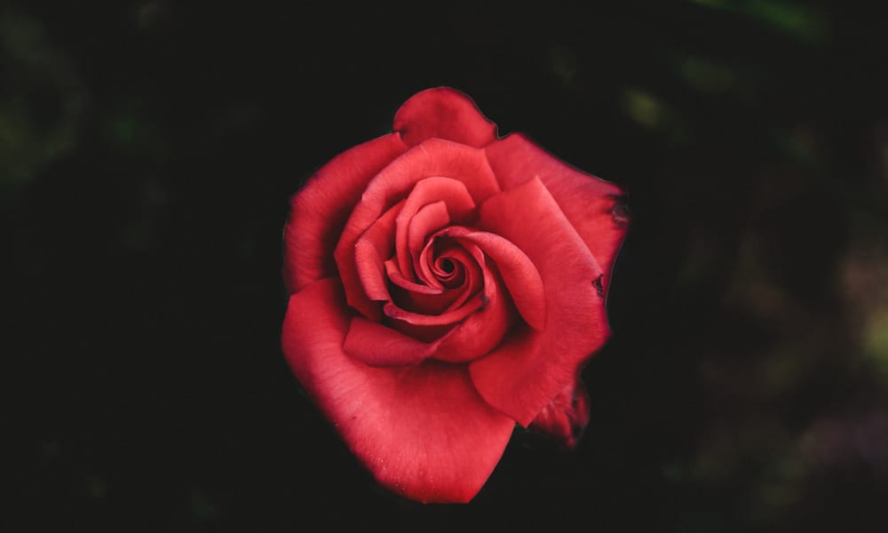 Jeremy Bishop Markk9f4s6g Unsplash