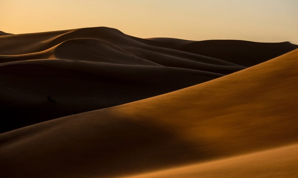 Francesco Ungaro P7mcnhaf6dy Unsplash