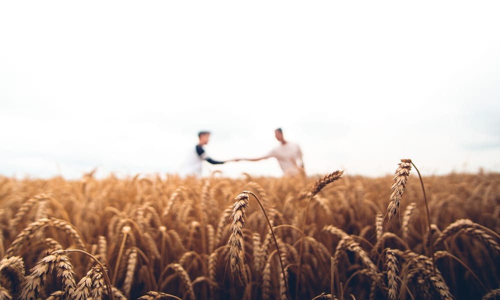 The Discipline of Evangelism