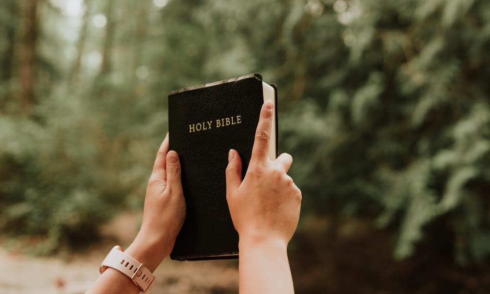 Priscilla Du Preez M4l8nzmuvvs Unsplash