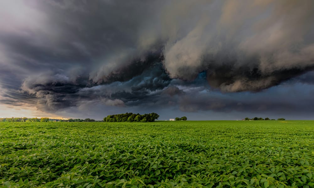 Alasdair Macpherson Gathering Storm 1 Of 2