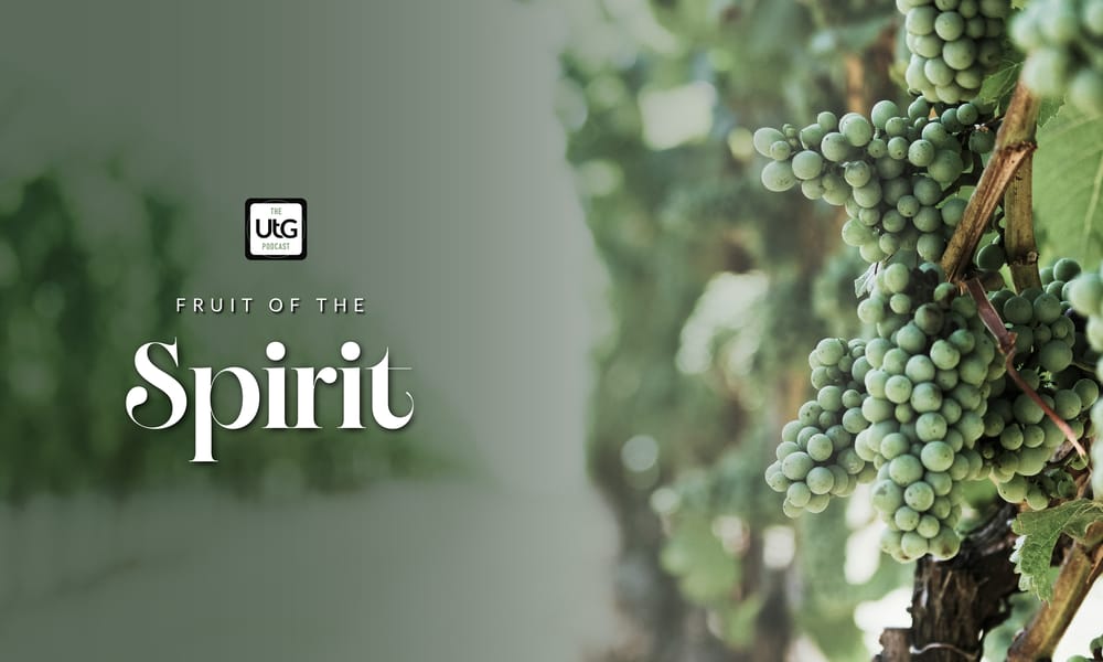 Fruit Of The Spirit Branding 02