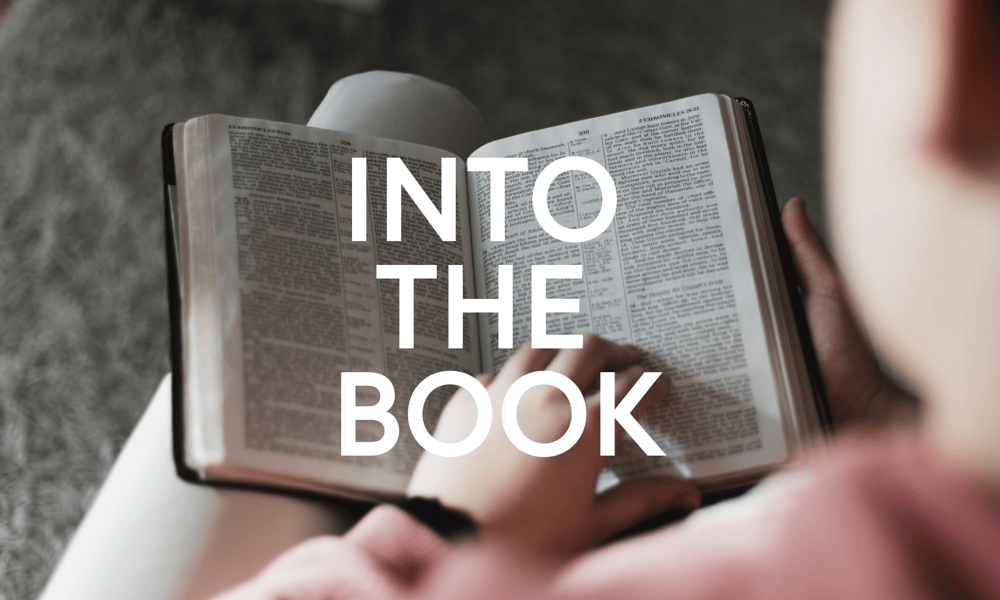 Into The Book