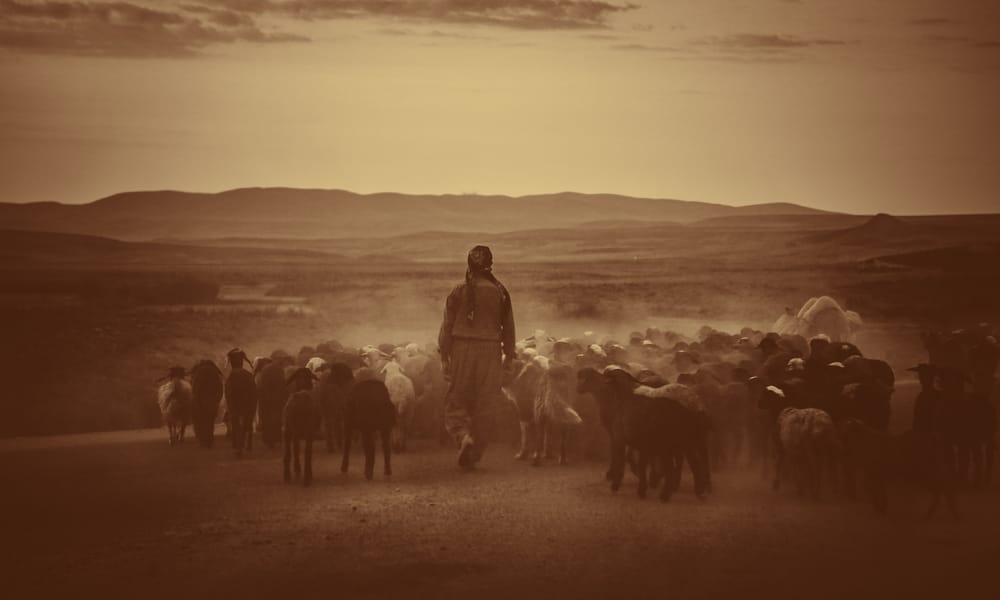 Mohamad Babayan 50C3jvdukae Unsplash
