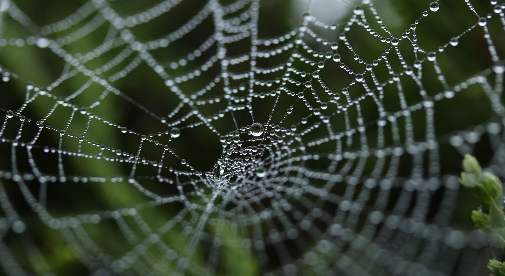 The Deceitfulness of Riches