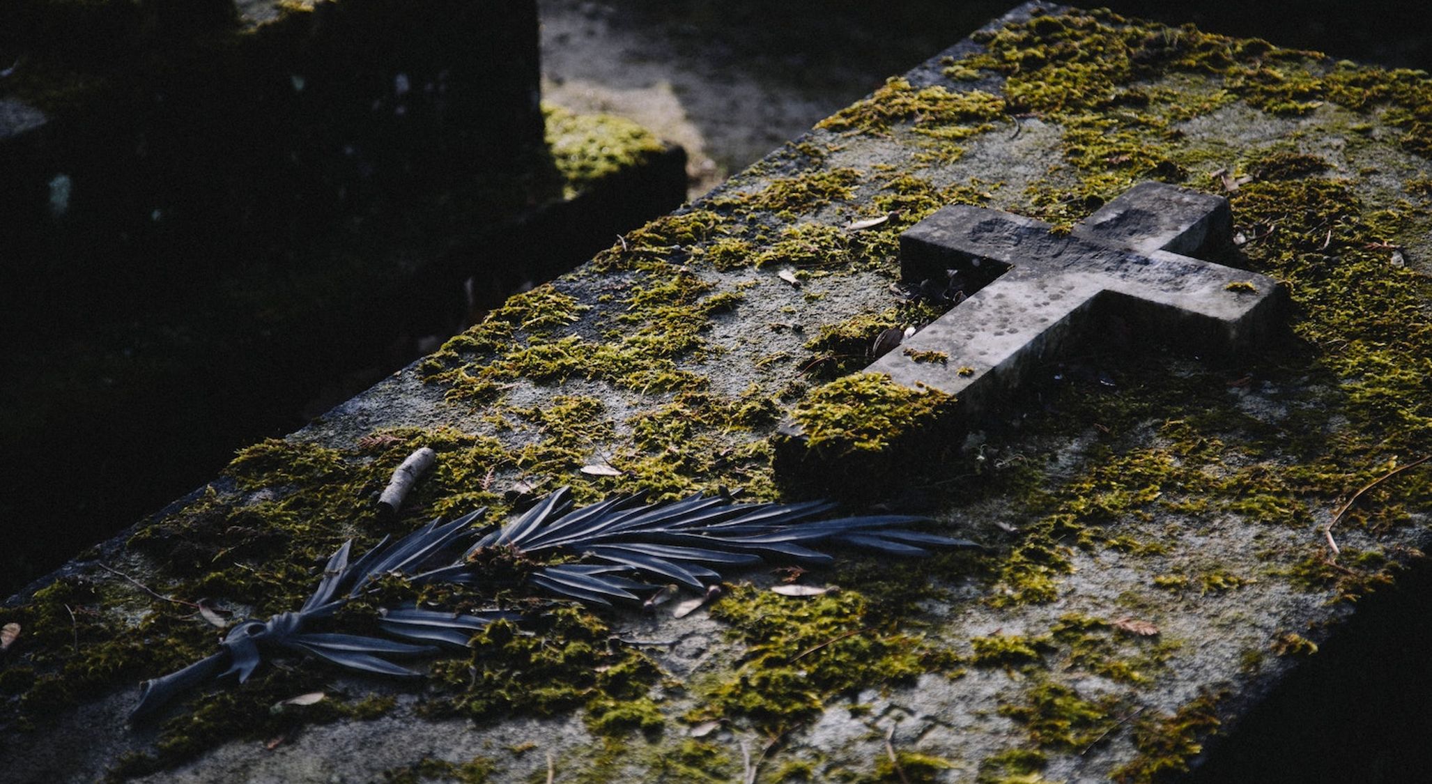 Can Dead People Come Back To Life?