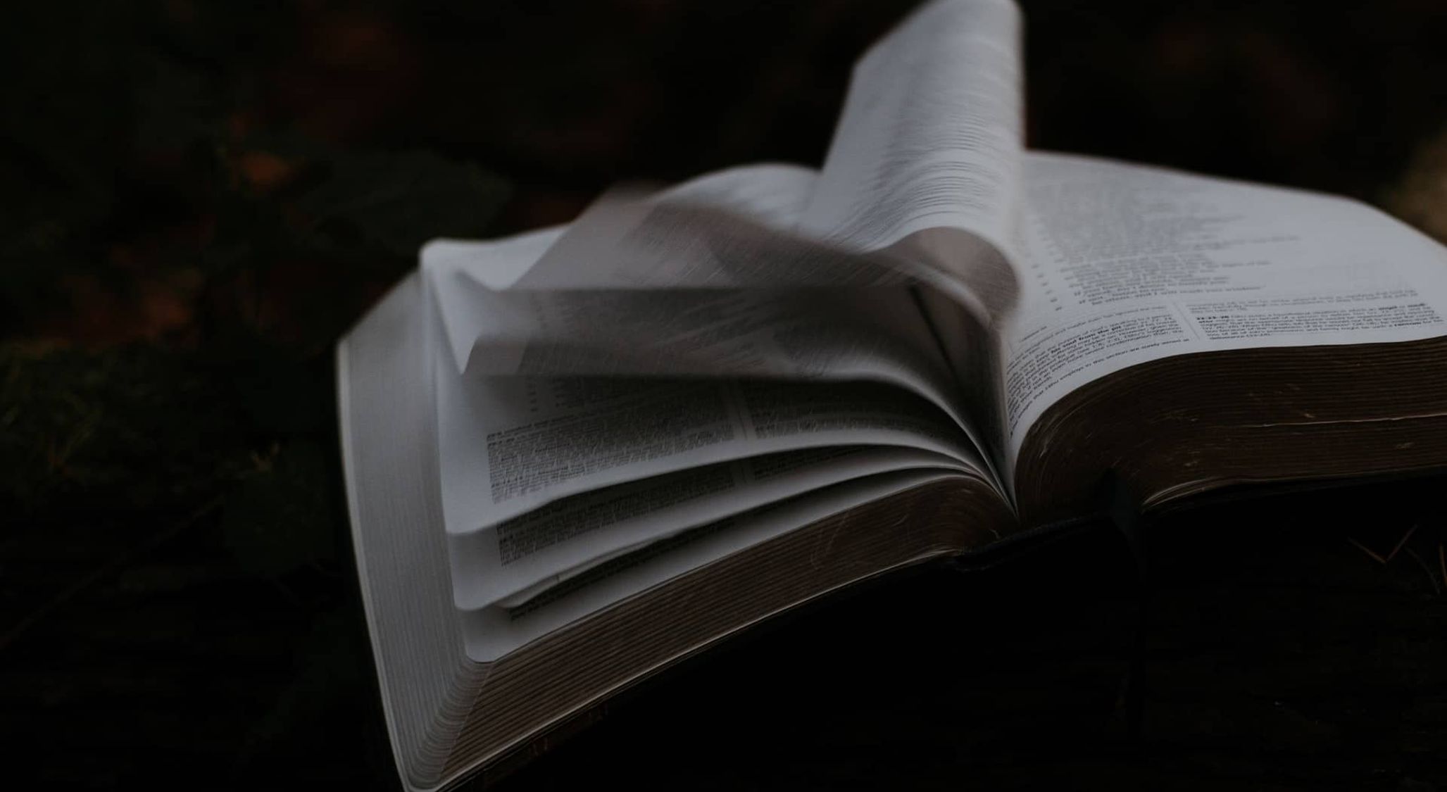 Bible Study and Theology: First Principles