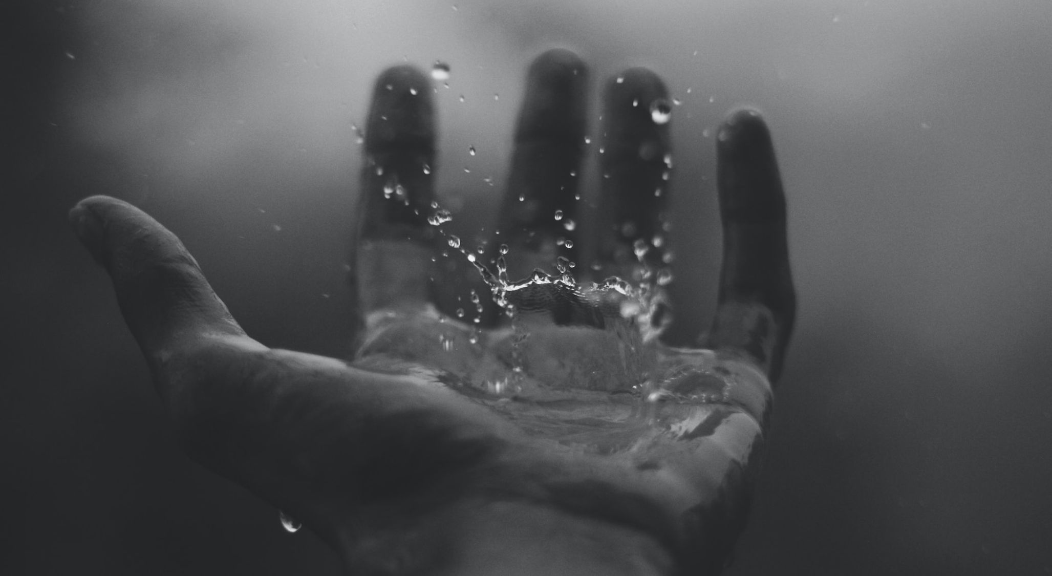 Regeneration