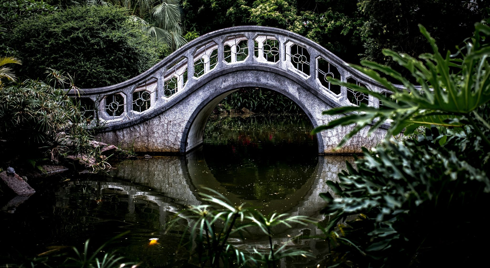 The Bridge: A Picture Of Faith