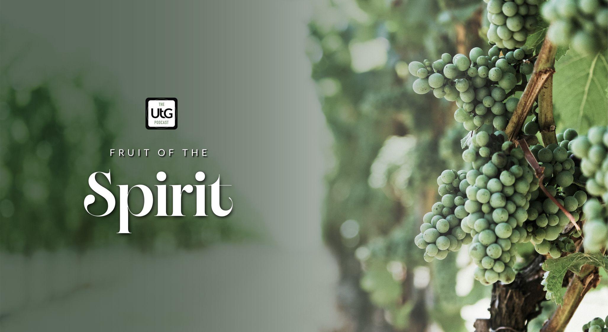 The Fruit of the Spirit: Overview (Ep 1)