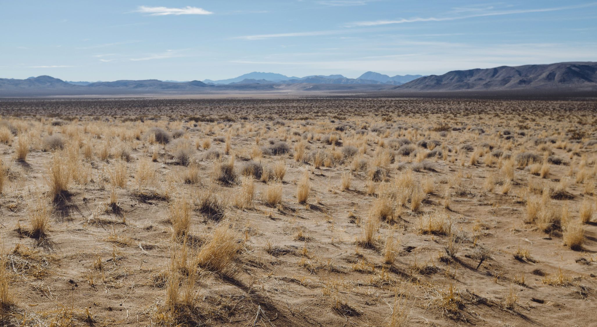 Living The Exodus Story (4): Wandering And Wondering