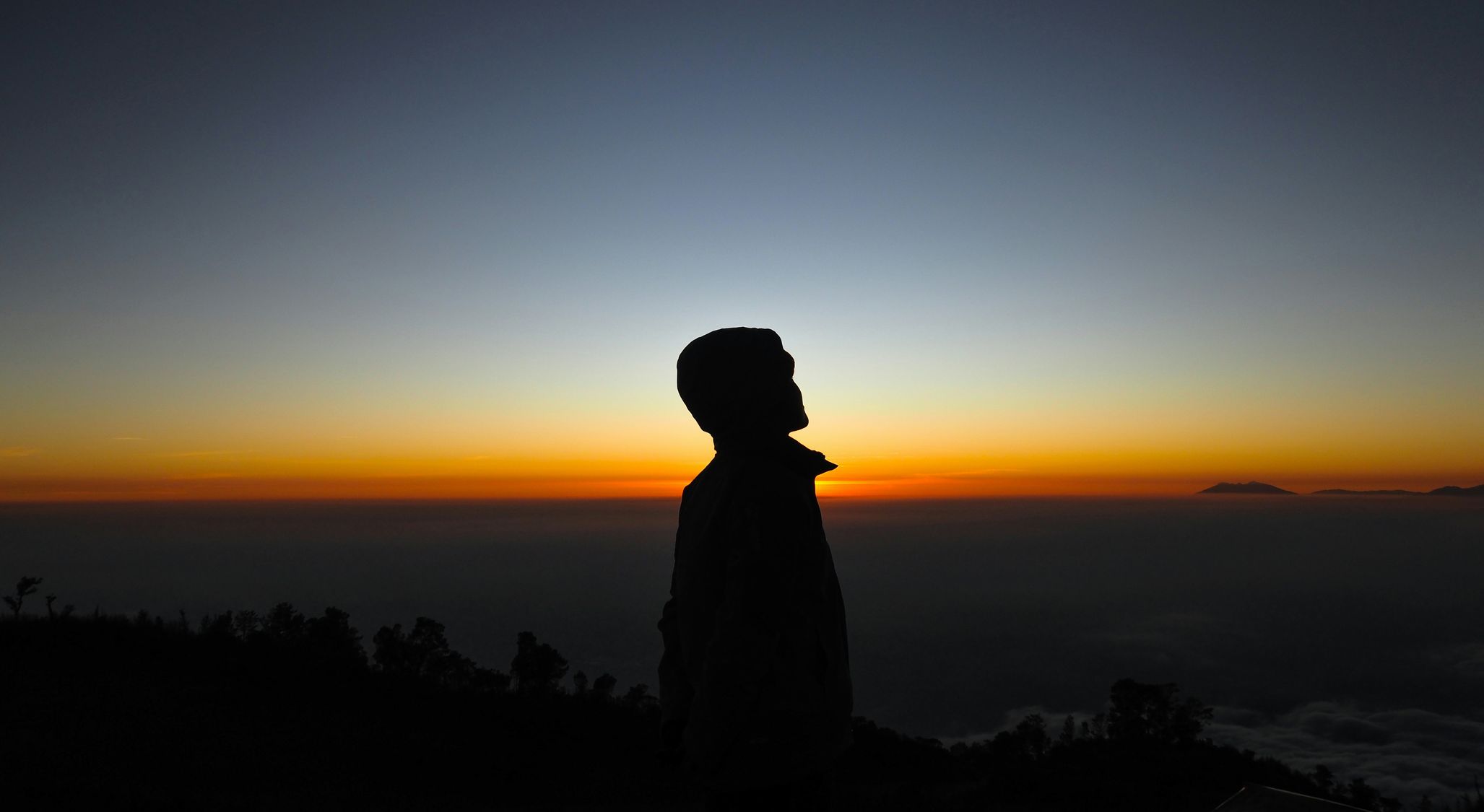 Does Sin Bring Conscious Punishment?