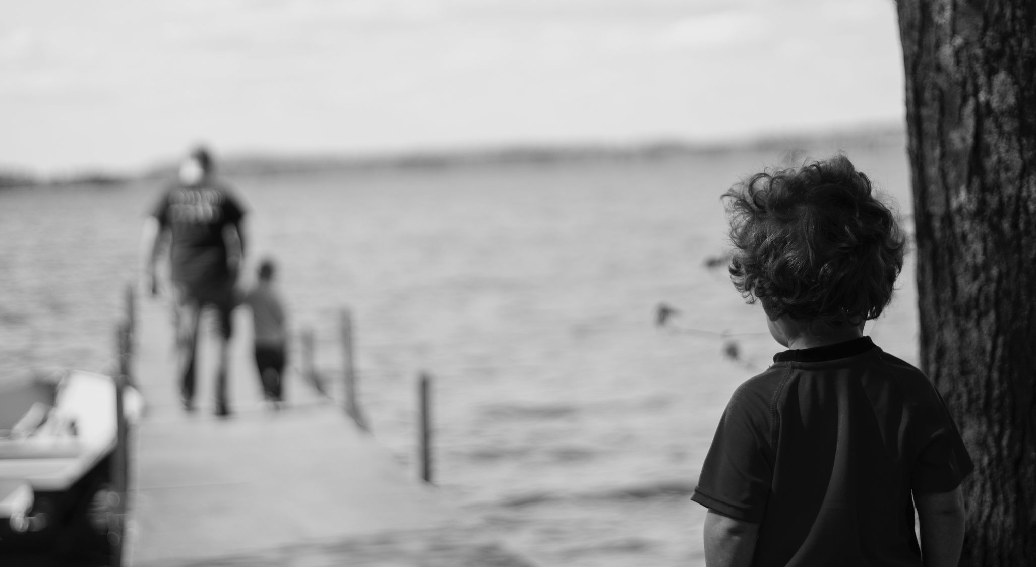 A Divided Family