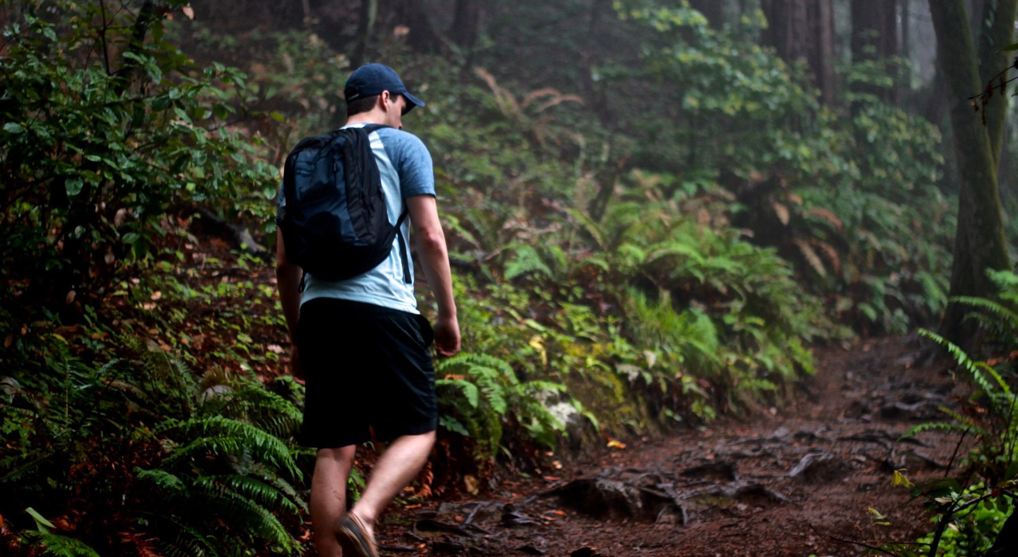 The Beaten Path