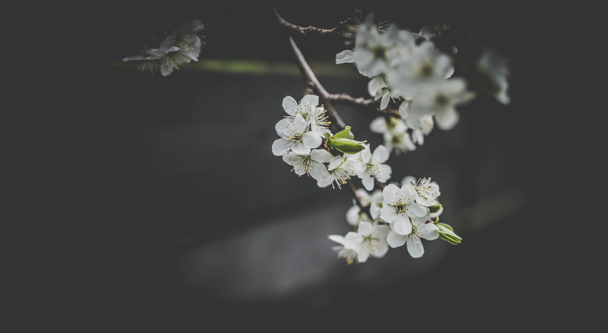 Is There Life After Death?
