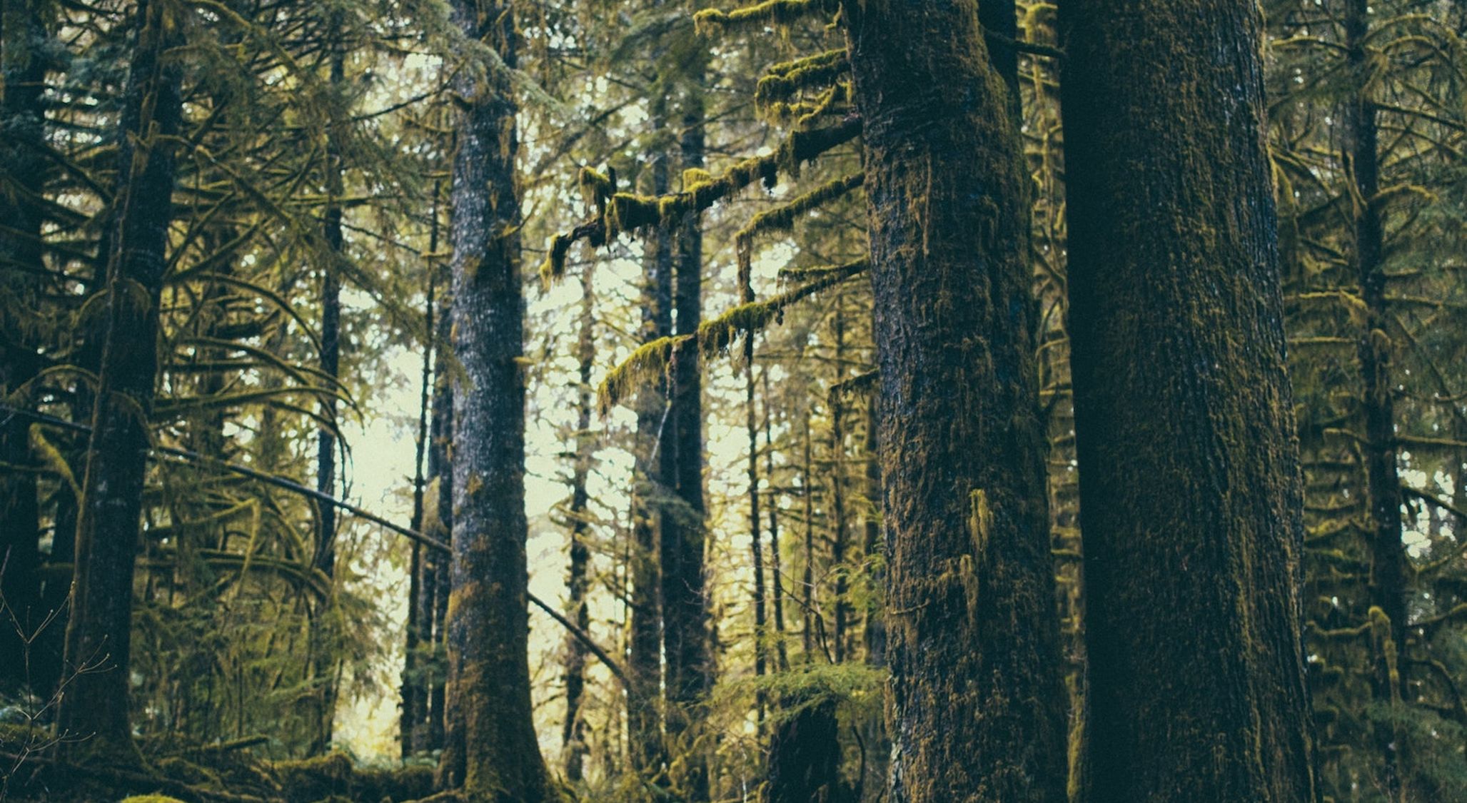 Is God Hiding?