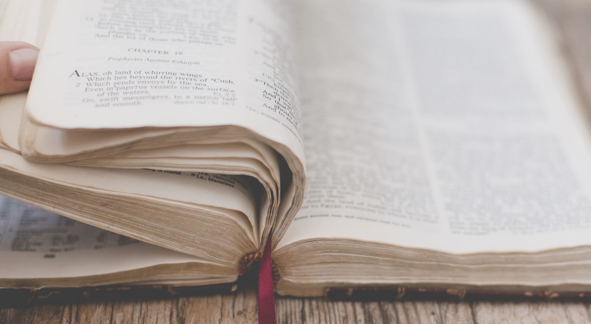 Daily Bible Reading