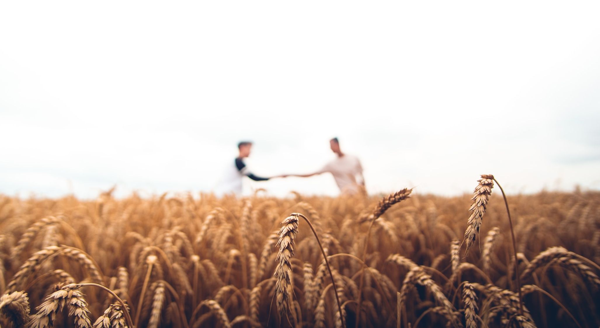 The Discipline of Evangelism