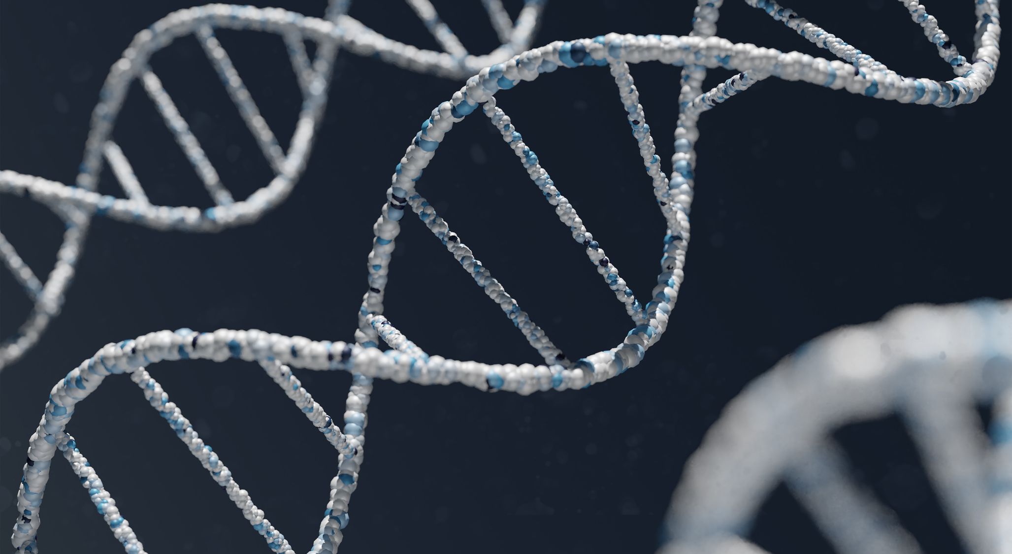 Synthetic DNA: The Path to Paradise? (and woolly mammoths)