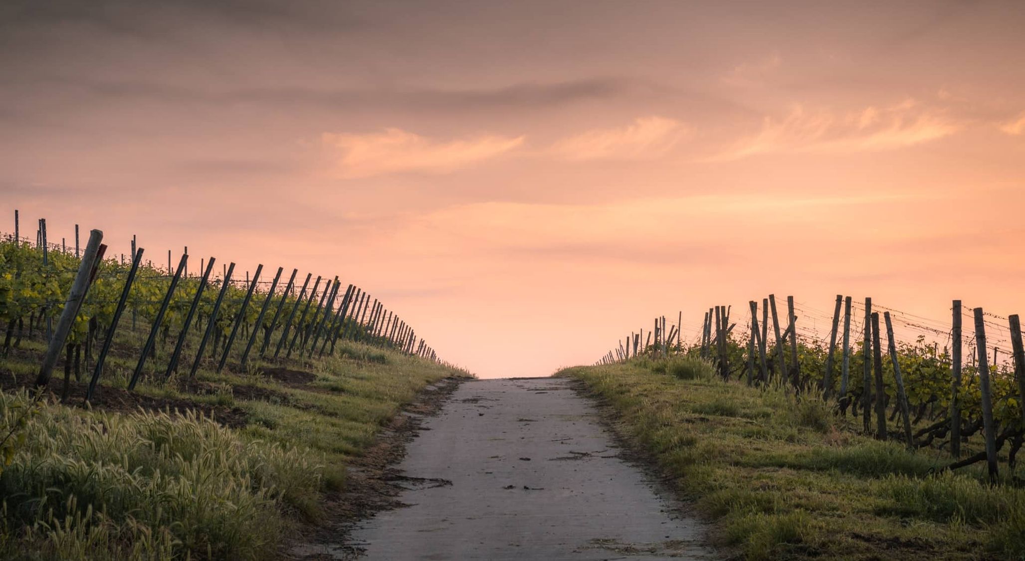 A Roadmap to Christian Living (Psalm 23)