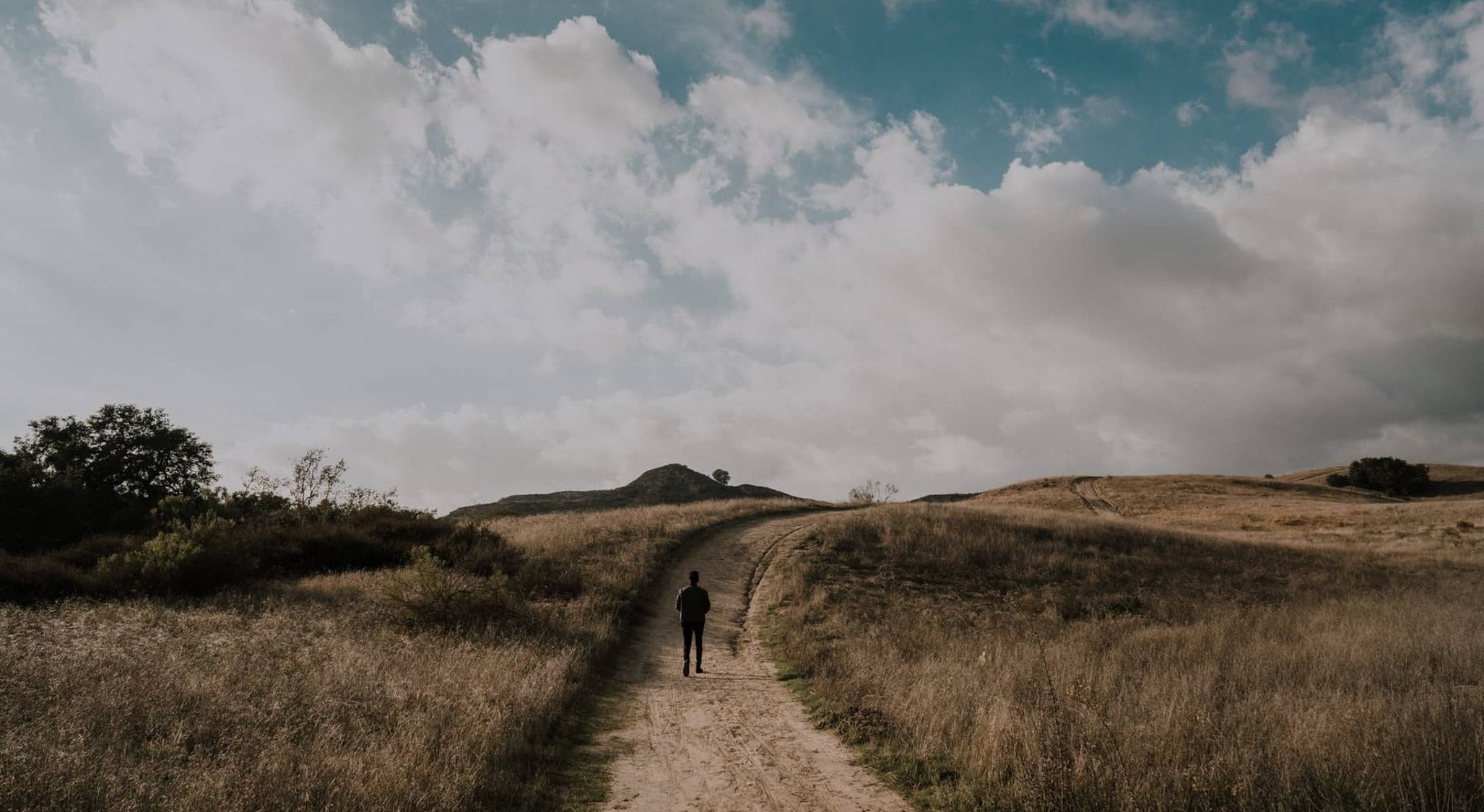 Timeless Wisdom (Part 2): Paths of Life