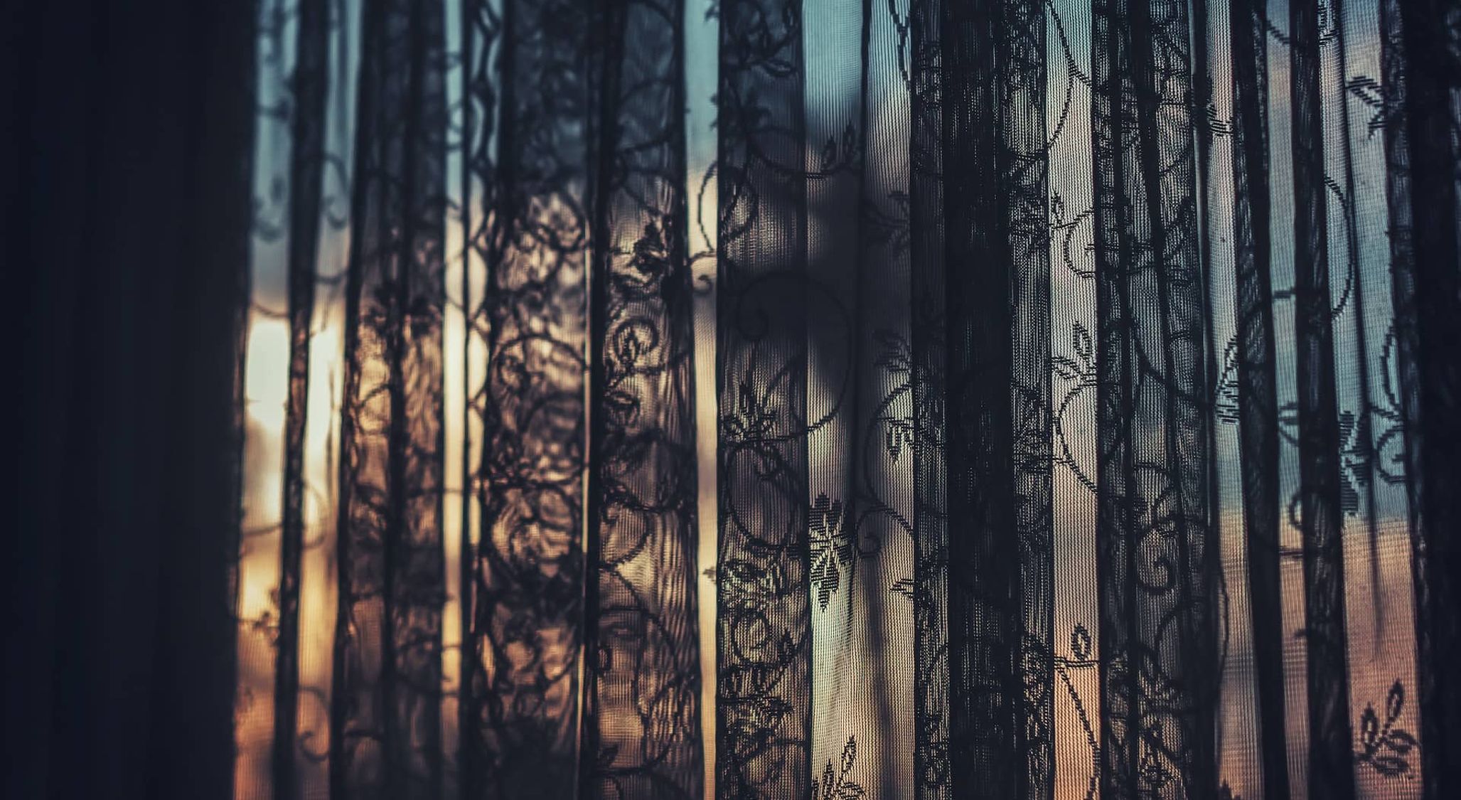 Life Beyond Death