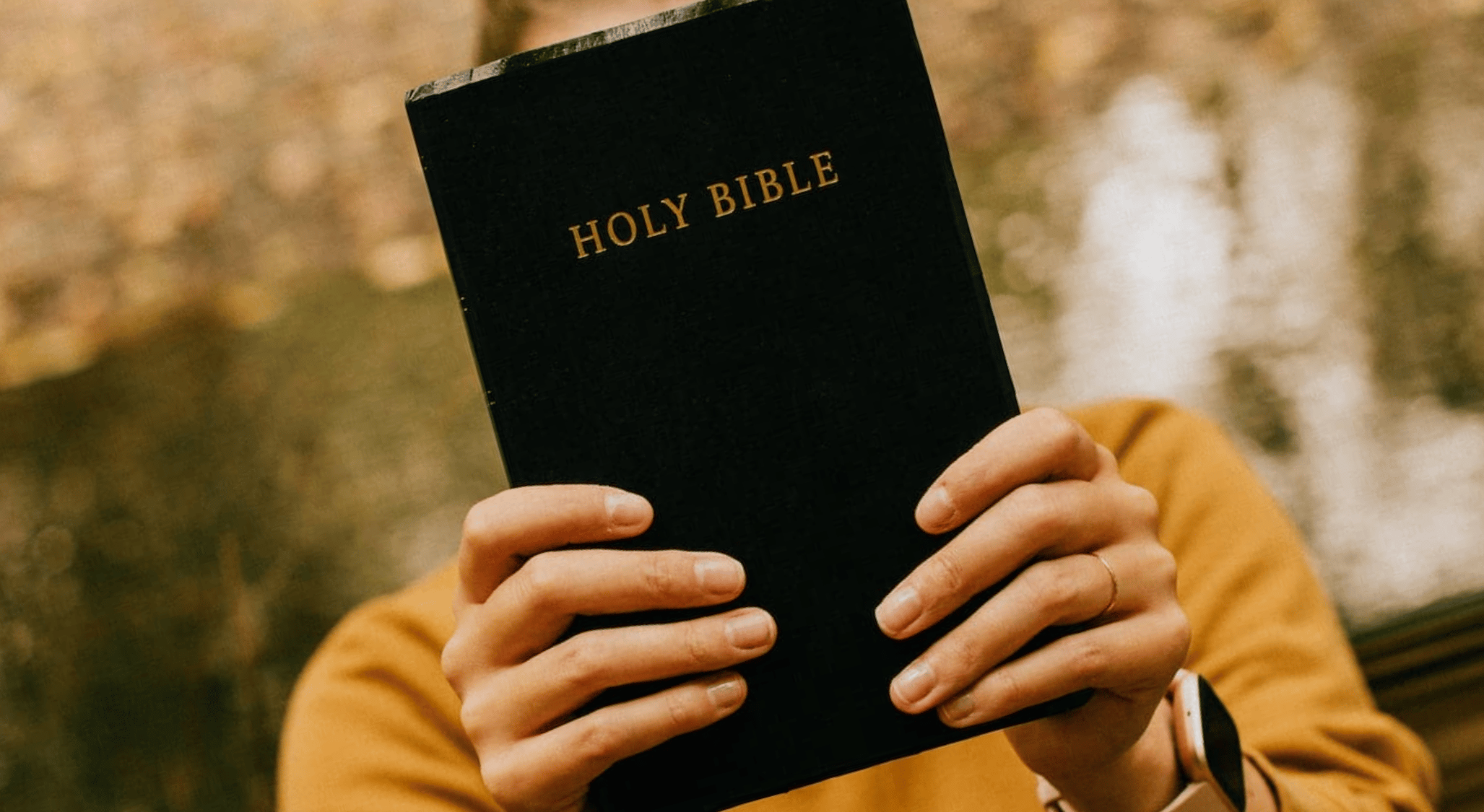 PROVE IT (Part 1): Prophecy