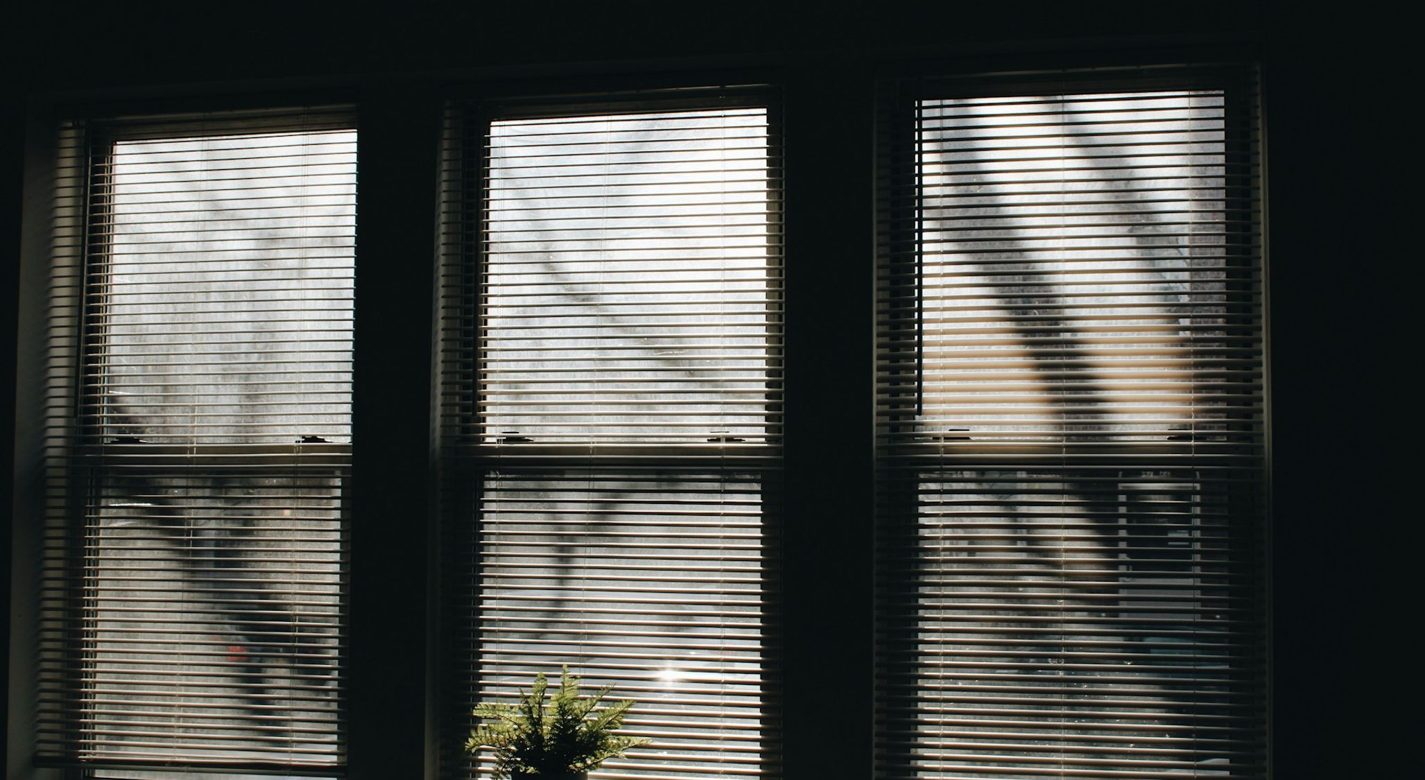 Out of darkness (2)