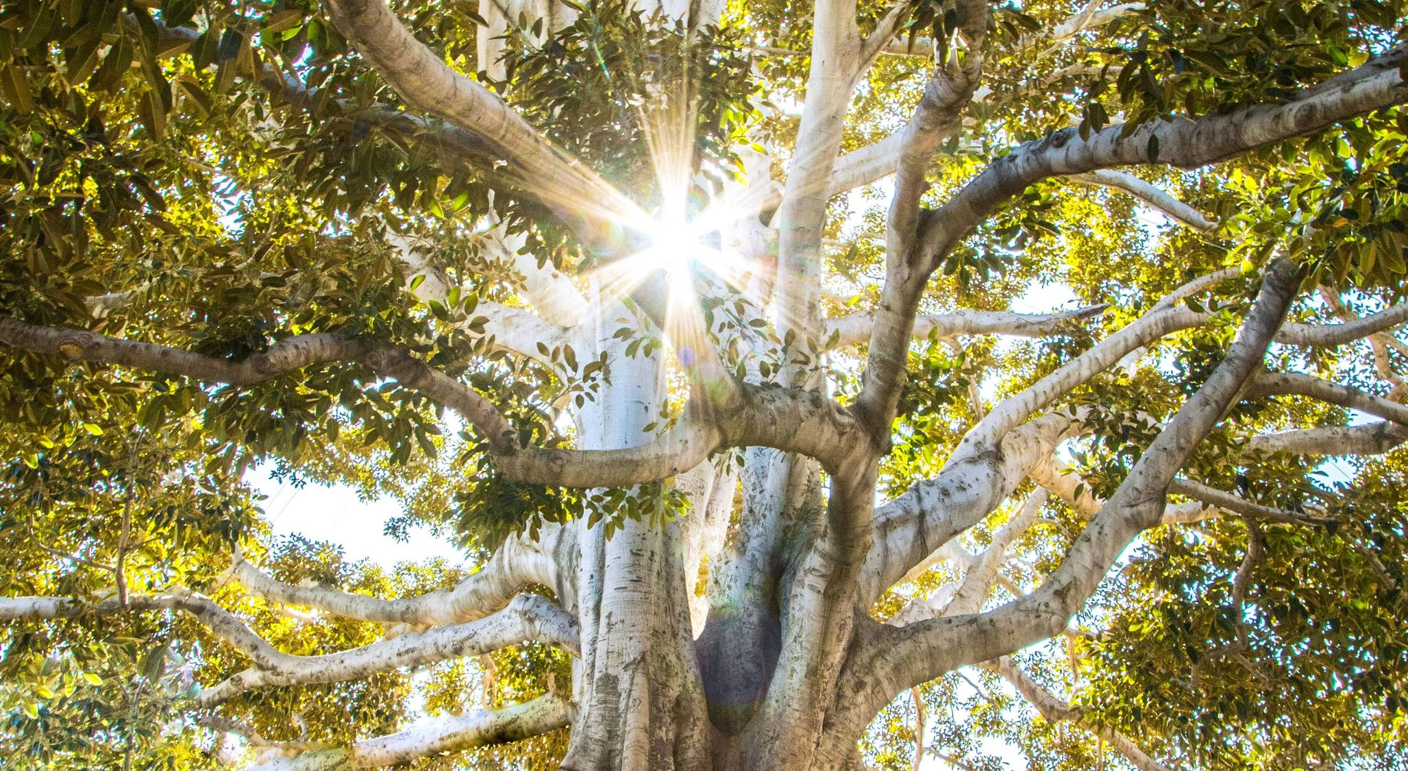 The Holy Spirit: The Healing of the Holy Spirit