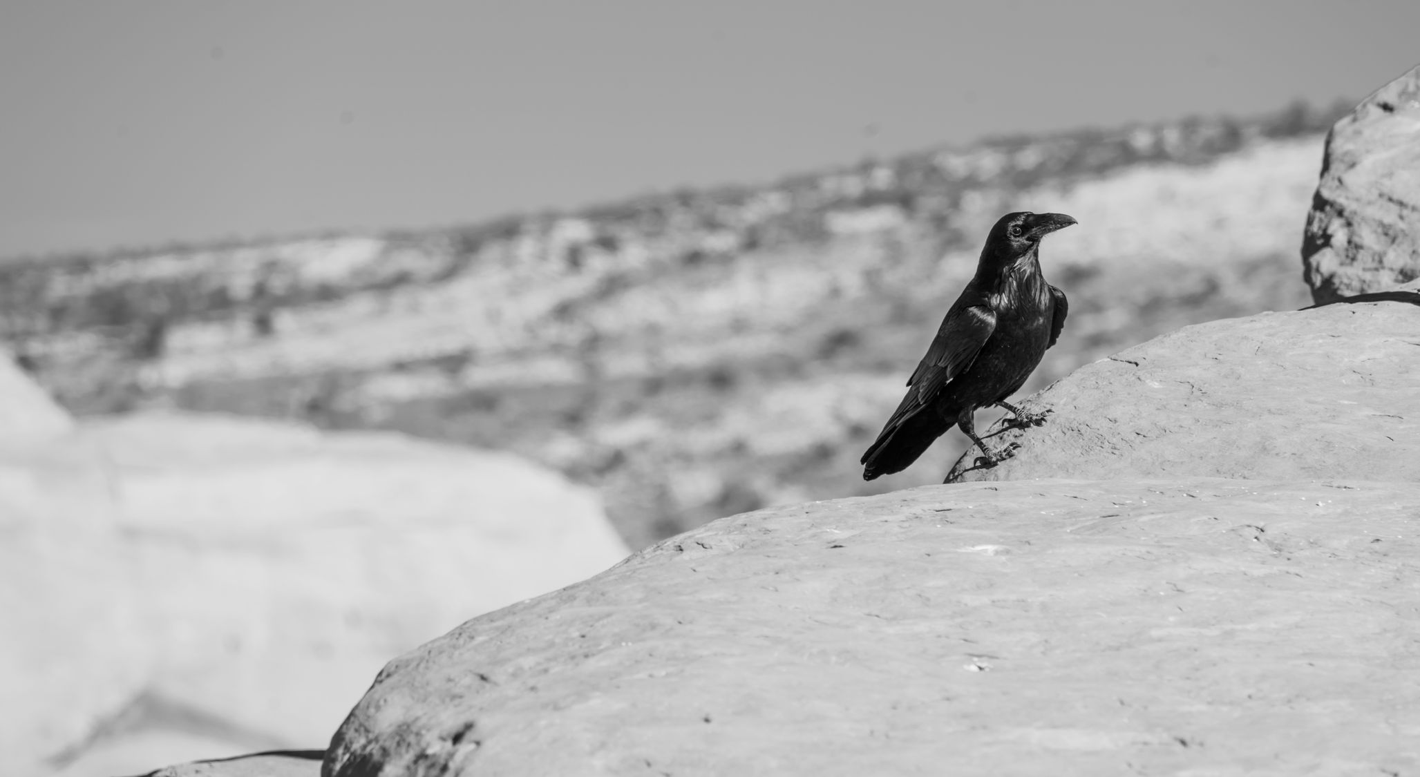 Ready For A King (4)? - God's Response To Rejection