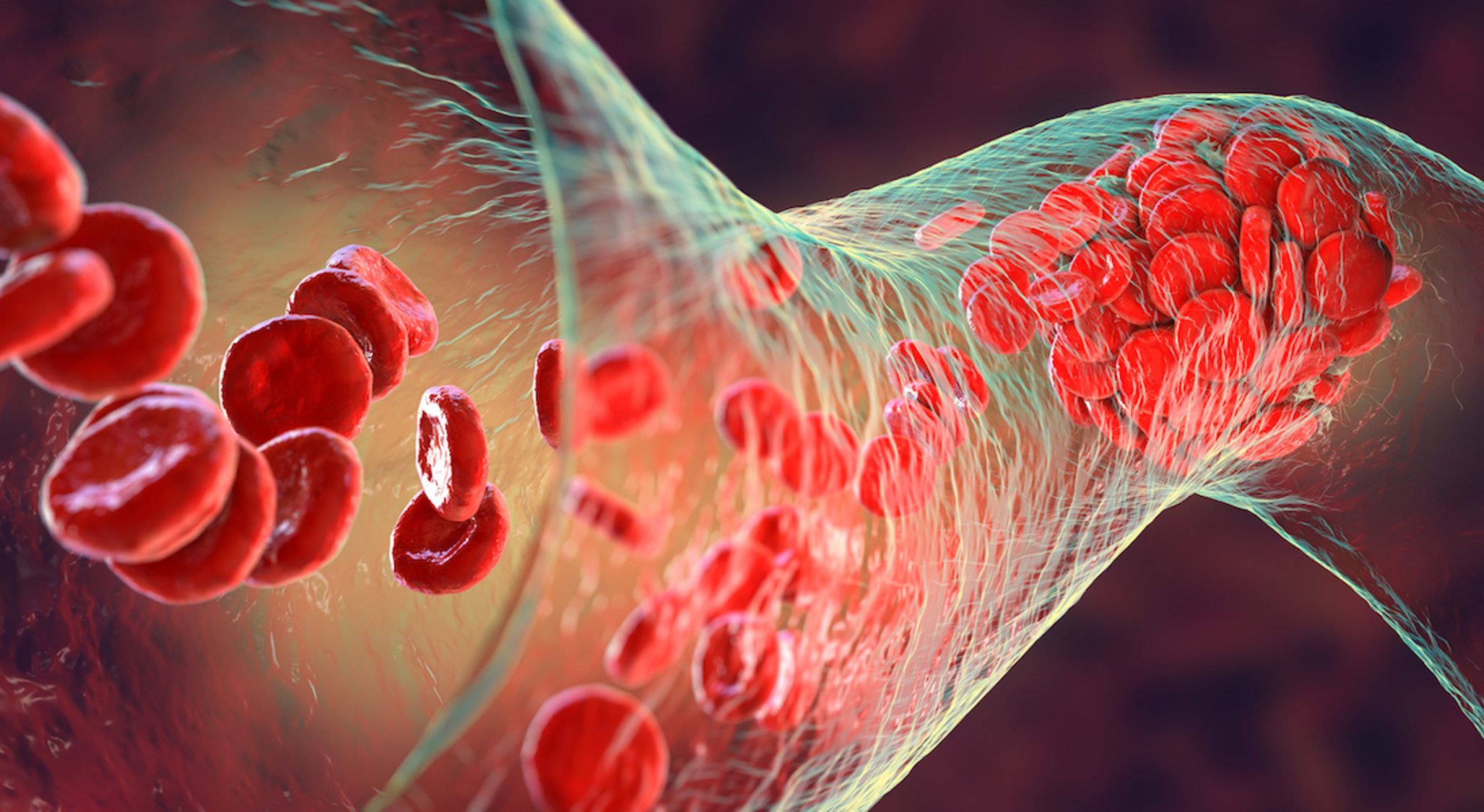 Why Believe In God (1)? - The Complexity Of Our Bodies Demands A Creator