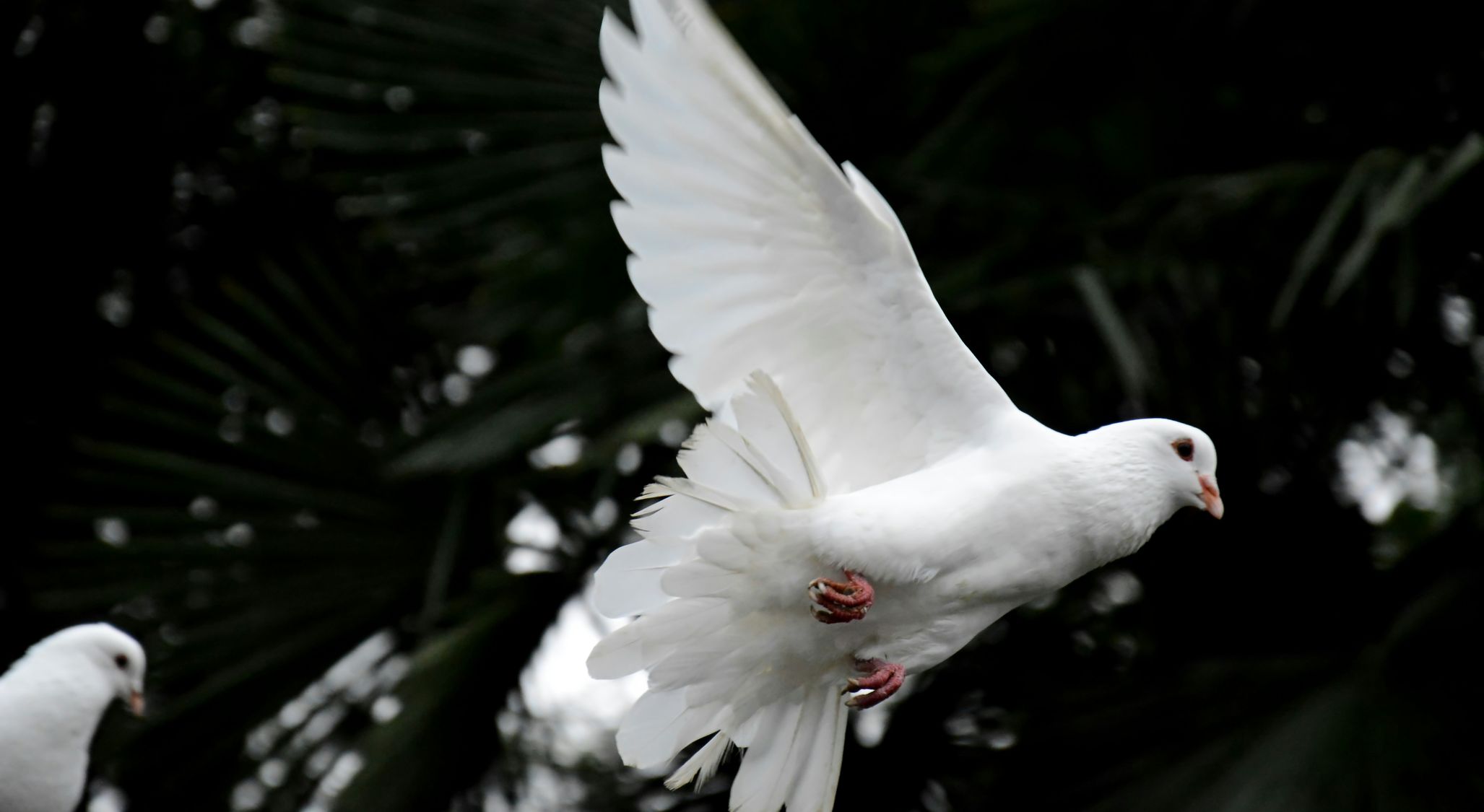 Salvation Truths (2) – Quickened by the Holy Spirit