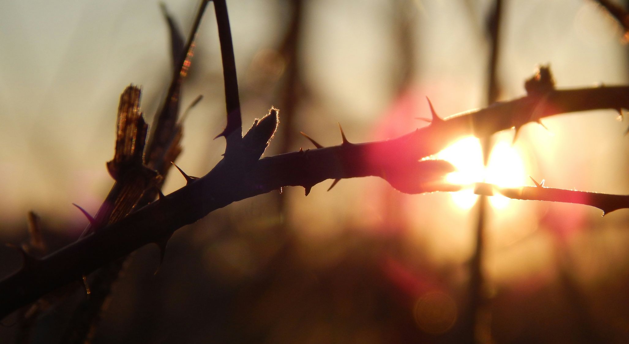 Why A Good God Allows Suffering, And Why I Am Thankful For It