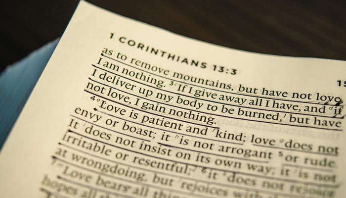 Studying the Bible