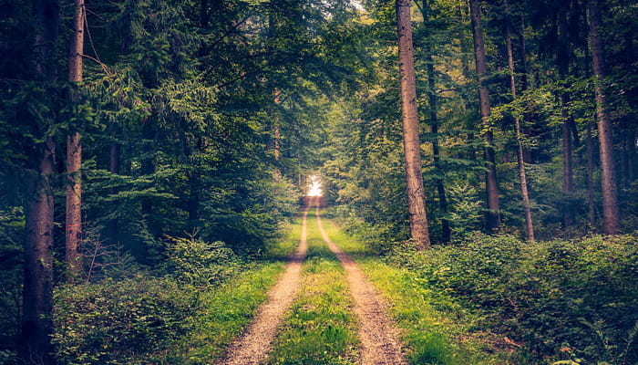 Eternal Life is More Than a ‘Forevermore Life’