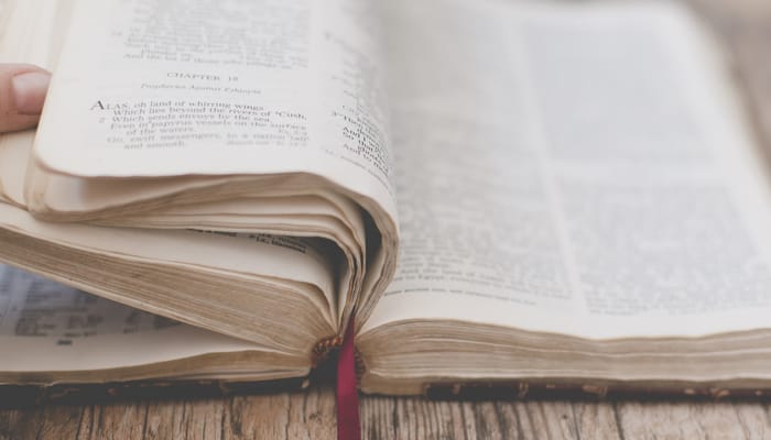 Daily Bible Reading