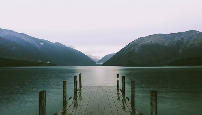 Saving The Lake