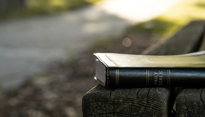 Genres of Scripture – Part One: Narrative History