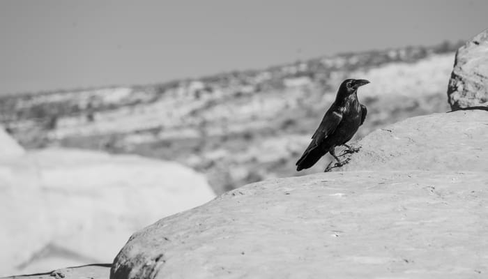 Ready For A King (4)? - God's Response To Rejection