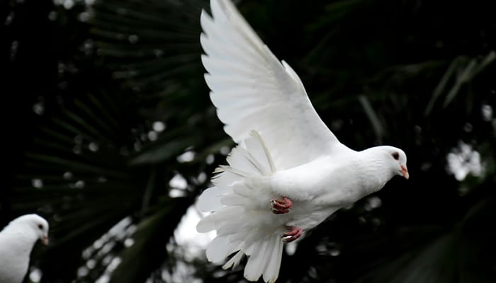 Salvation Truths (2) – Quickened by the Holy Spirit