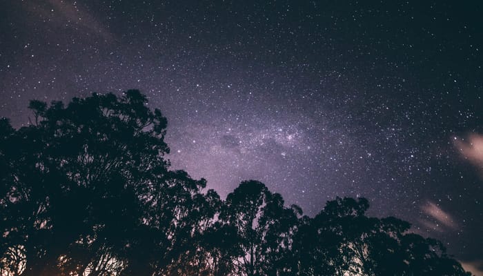 Beauty in Creation