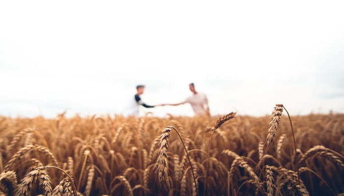 The Discipline of Evangelism
