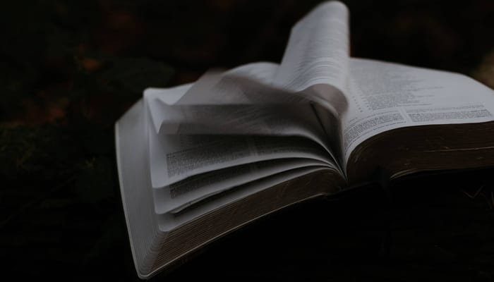 Bible Study and Theology: First Principles