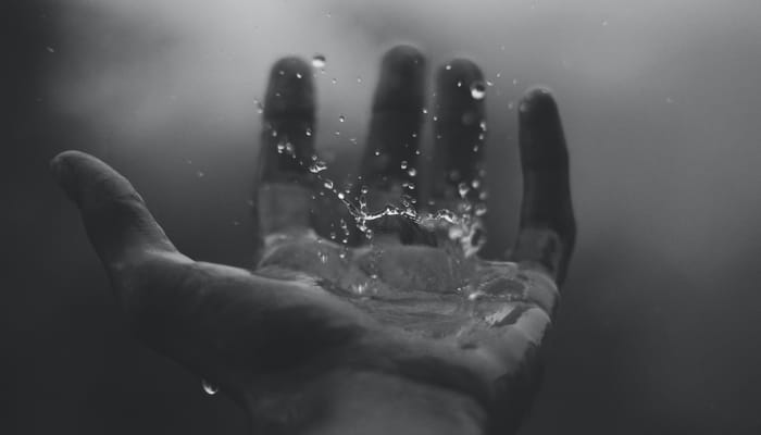 Regeneration