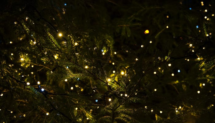 Hark! The Herald Angels Sing (1)