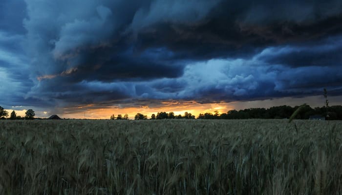 The Gathering Storm (Part 2)
