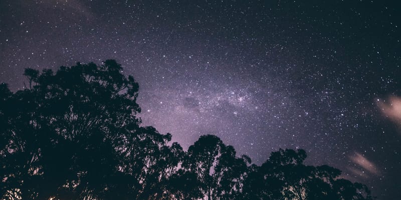 Beauty in Creation